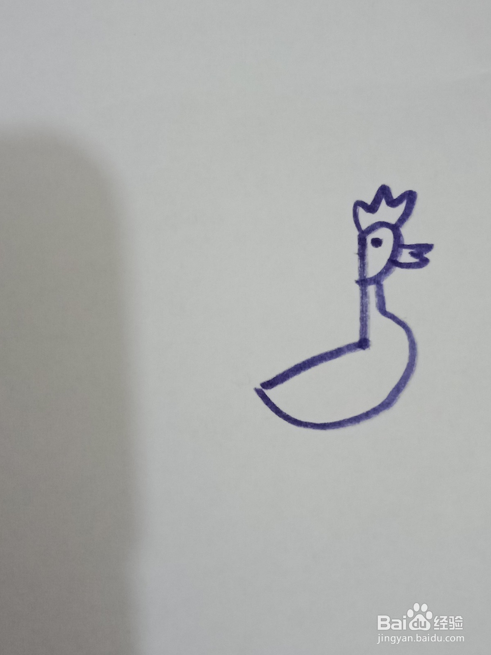 孔雀开屏简笔画