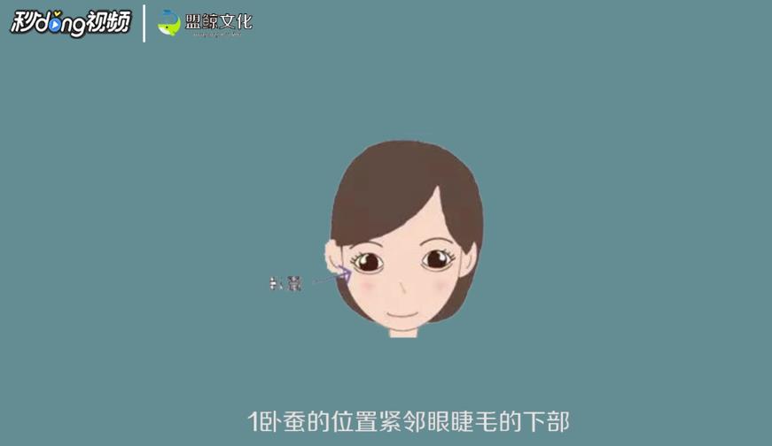 如何区别卧蚕眼和眼袋