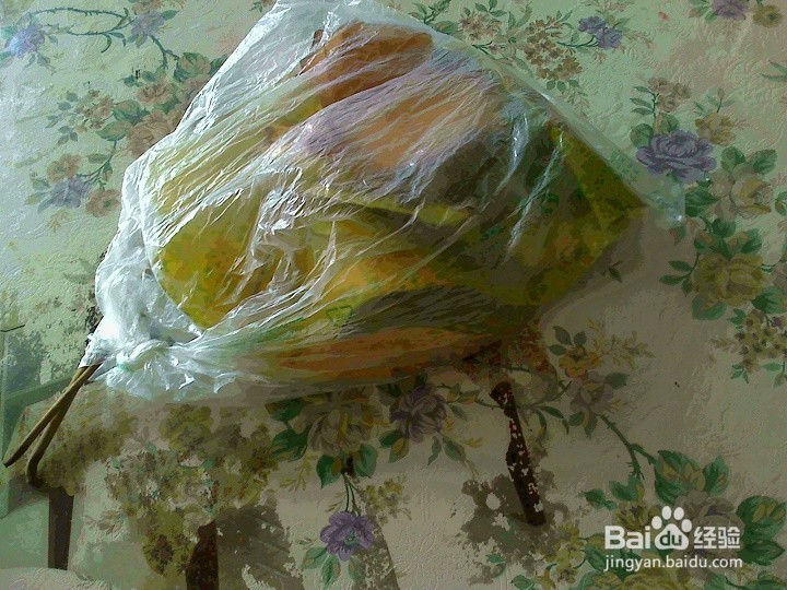 怎样保存好采集的落叶