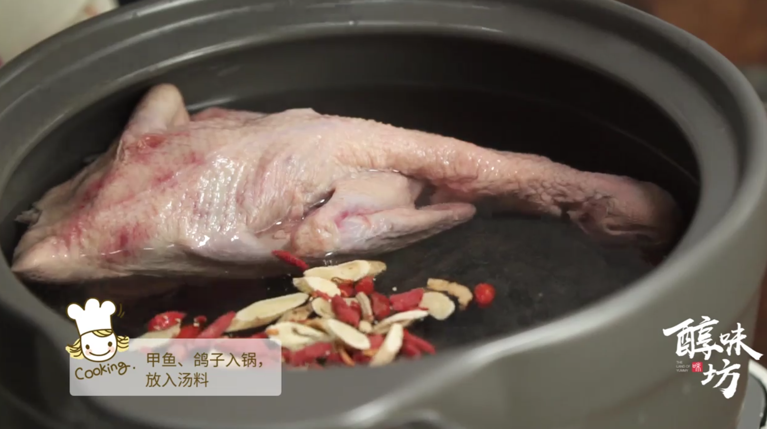 怎样做鸽子甲鱼汤