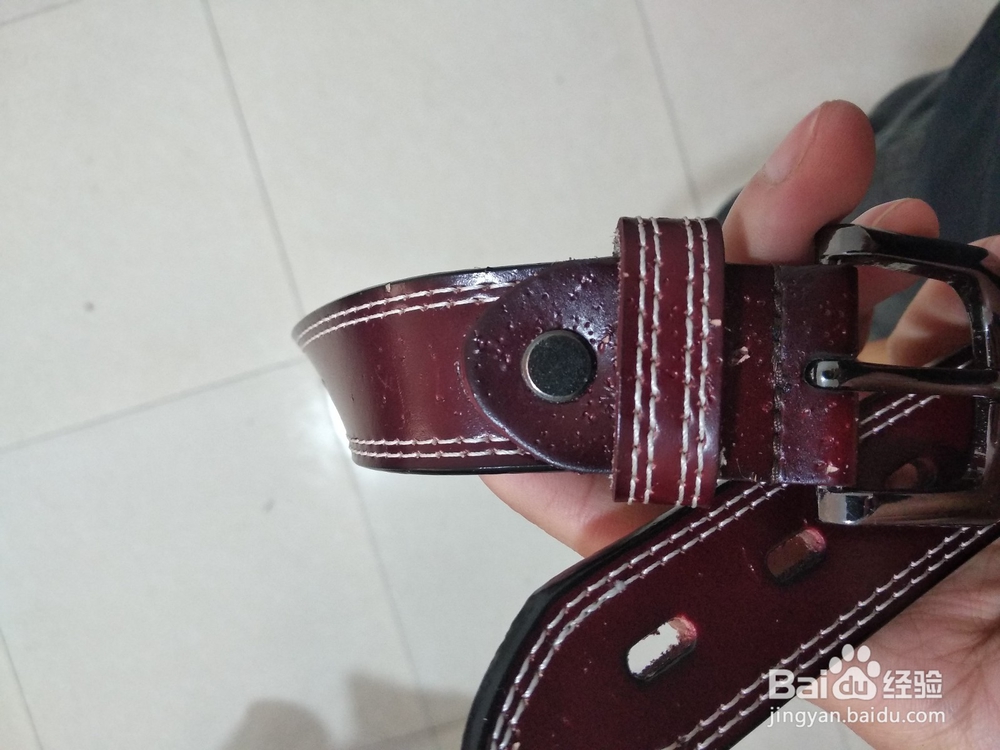 养猫会有哪些方面的花费?