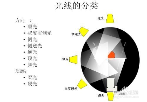 蝴蝶光布光示意图图片