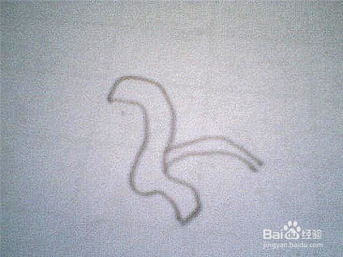 简笔画石榴的枝叶果实这样画
