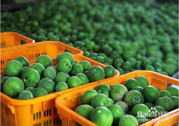 化州橘红历史和功效