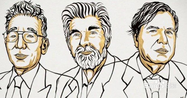 蚂蚁庄园10月21日：诺贝尔奖没有设立哪个学科