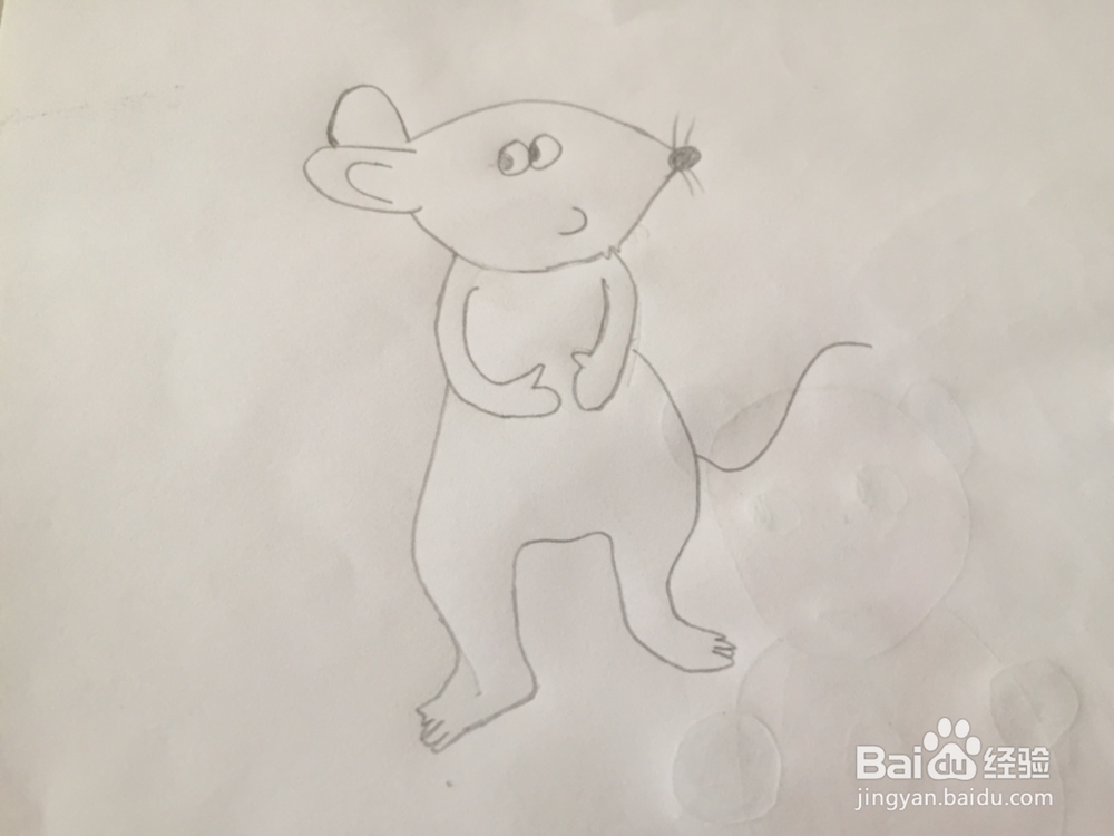<b>简笔画画一只老鼠</b>