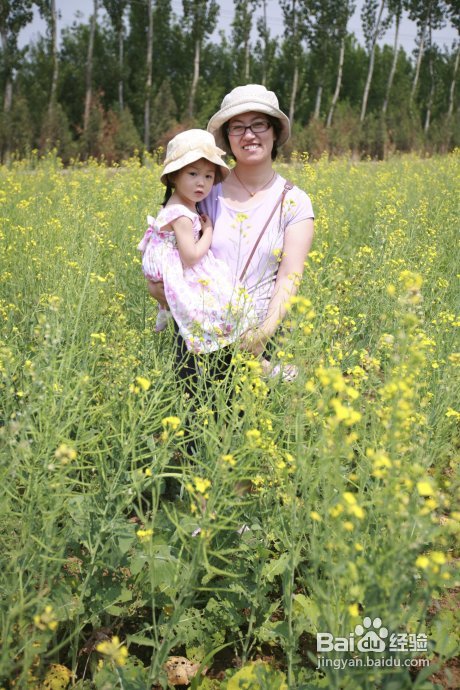 端午假期第二天