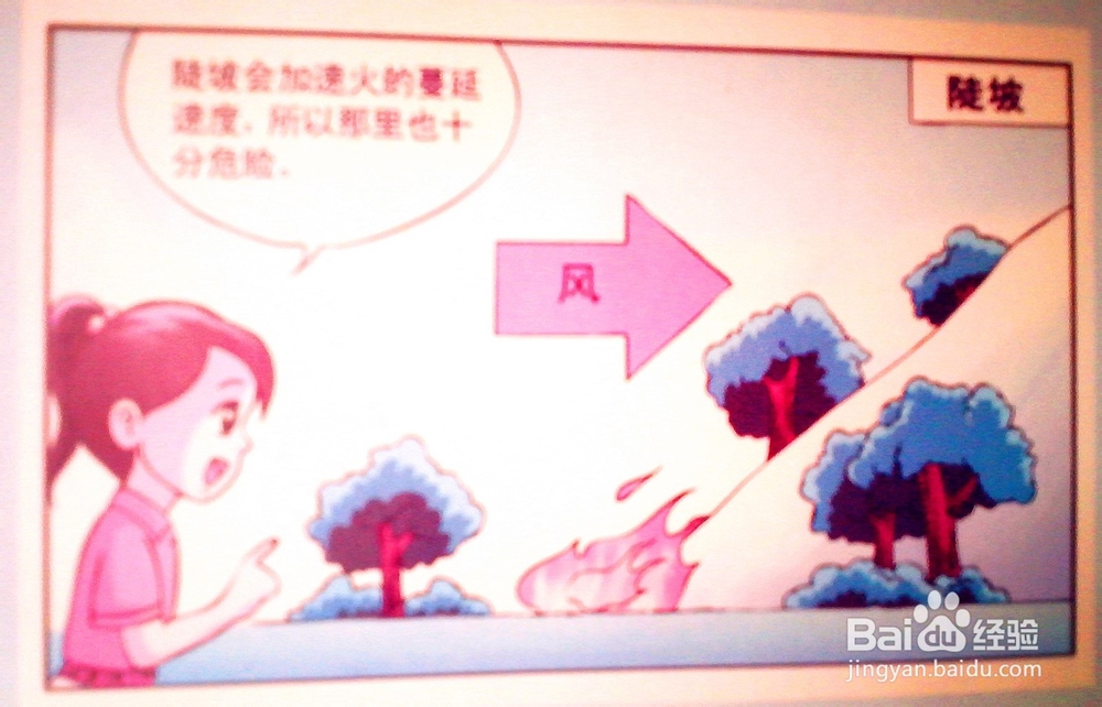 发生森林火灾时的危险地带