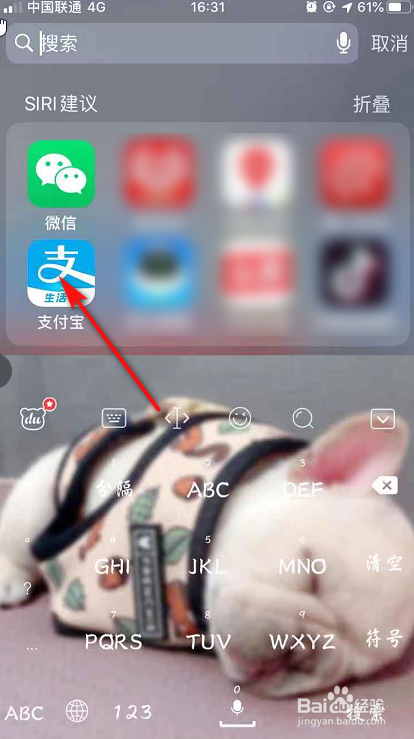 支付宝如何查询2019年的账单