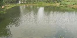 夏季要注意哪些安全知识