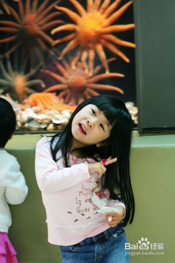 温哥华水族馆:水中舞动的精灵们