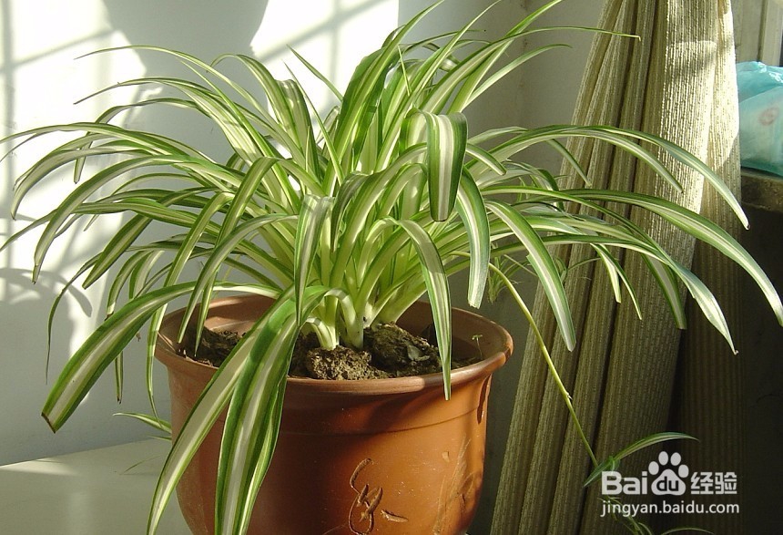 绿色装修,远离甲醛的危害