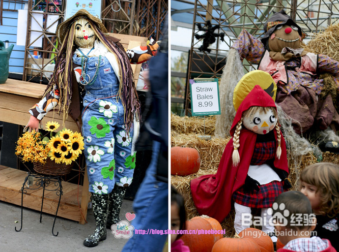 幼儿园亲子户外活动：学种花(组图)