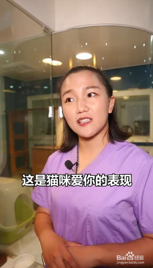 猫咪为什么喜欢踩奶