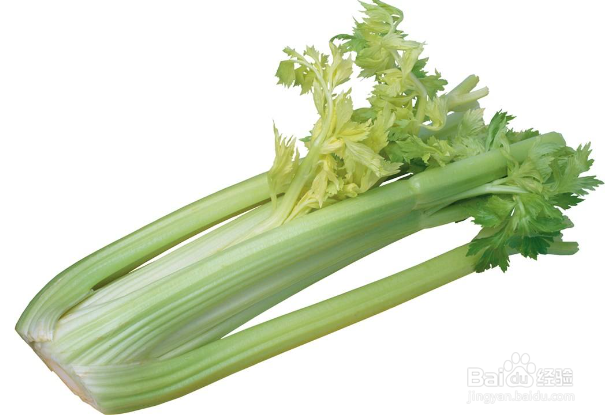 哪些食物多吃可以保护牙齿,护齿食品有哪些?