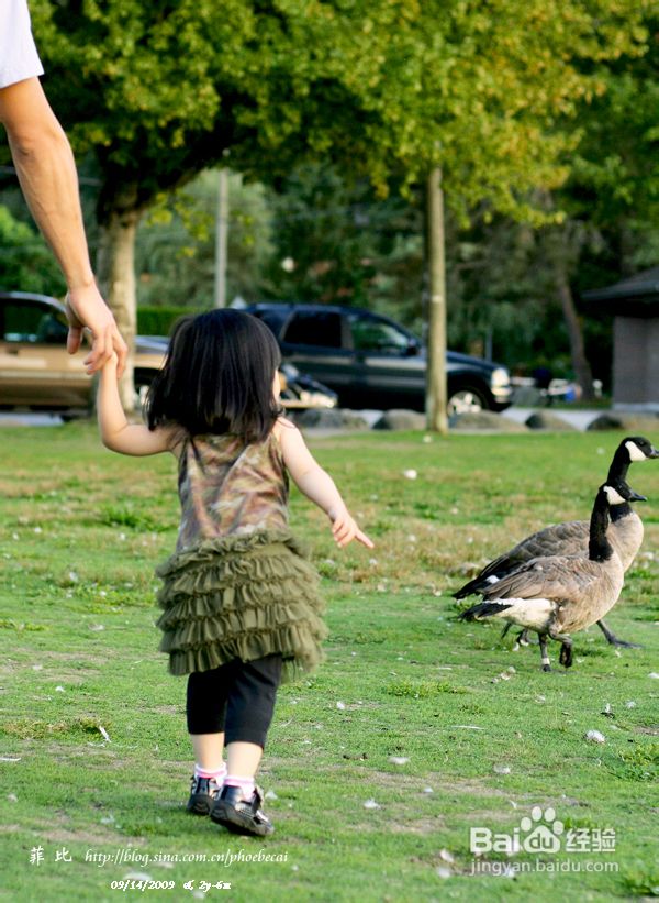 温哥华鹿湖Deer Lake 黄昏漫步(组图)