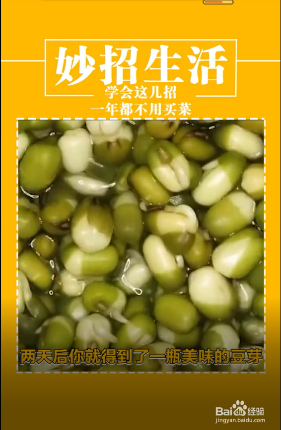 植物种植小技巧