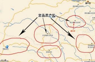 冬虫夏草回收多少钱一克合理 冬虫夏草的价格