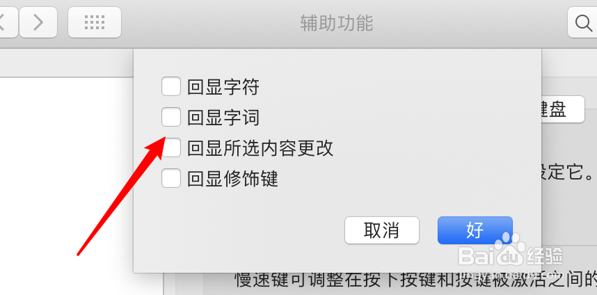 mac电脑怎么设置键入反馈功能不显示回显字词
