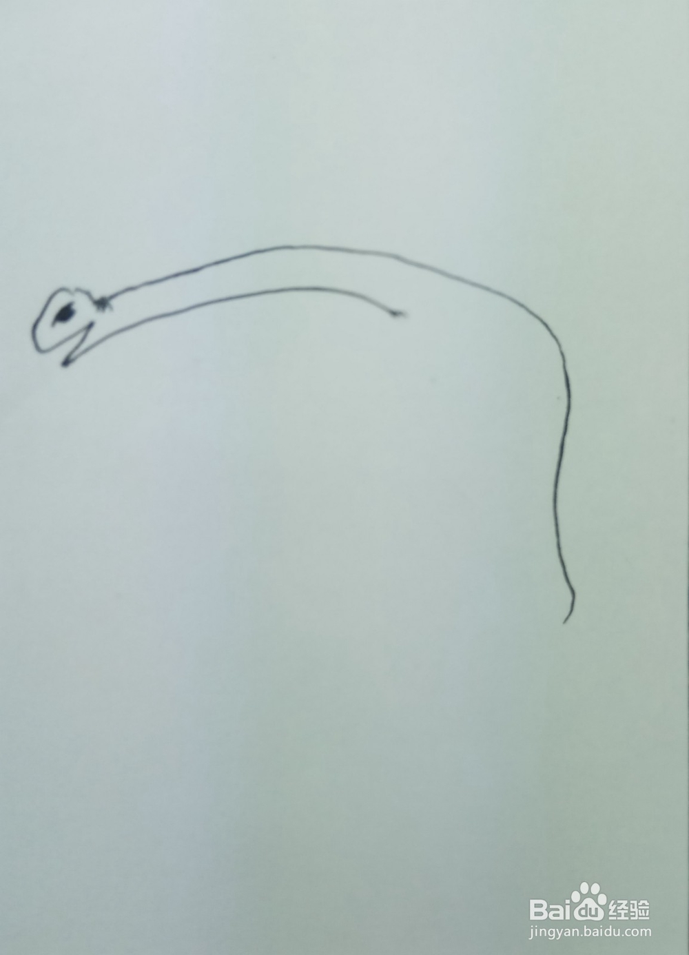 怎样画简笔画回头张望的恐龙?