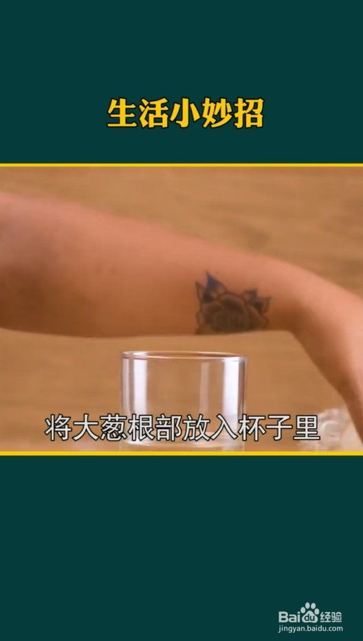 生活小妙招之种植小妙招