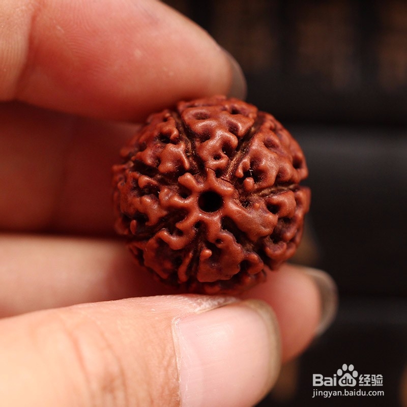 金刚菩提子如何挑选