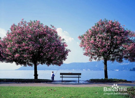 人生不可为的有哪几件事