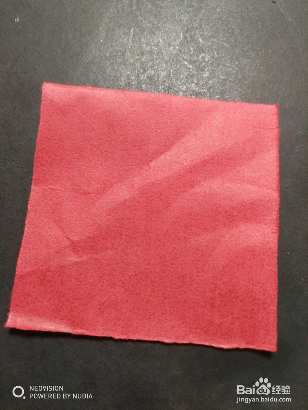 简单的大白菜怎么剪