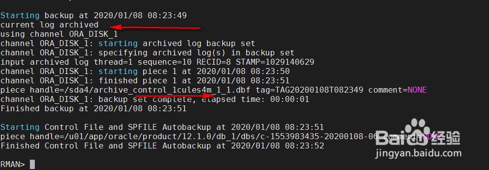 RMAN备份PLUS与INCLUDE和NOPROMPT还有input用法