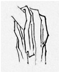 工笔十八描示范图解