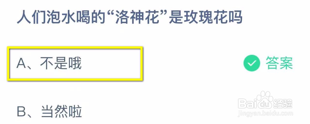 蚂蚁庄园2024.10.25：“洛神花”是玫瑰花吗