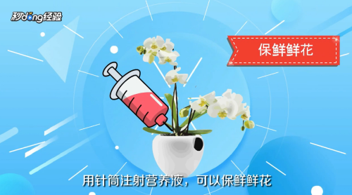 鲜花如何保鲜？