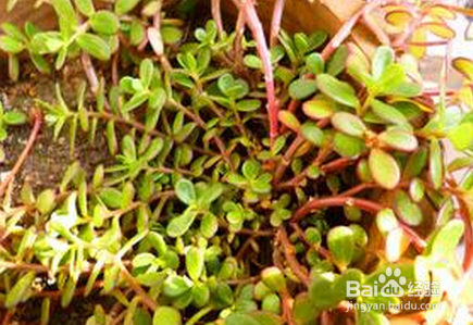 美白、祛斑、祛痘、补水小秘诀，让肌肤喝饱水！