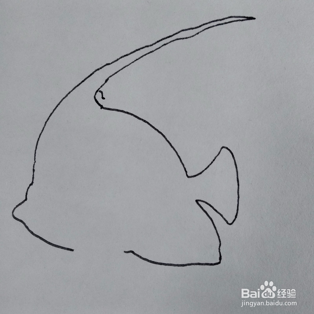 如何画出一条好看的神仙鱼卡通儿童简笔画