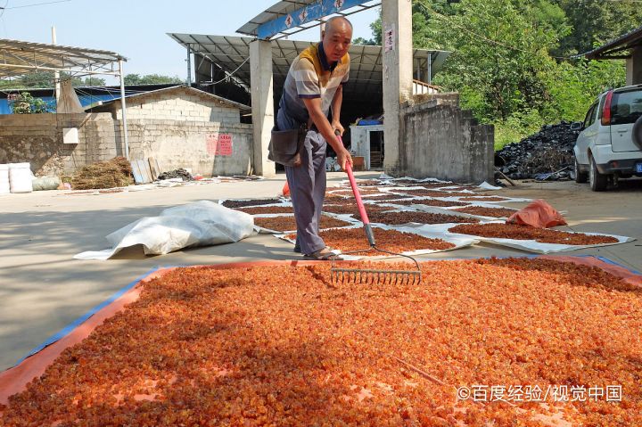 桃胶摘下来怎么处理才可以吃