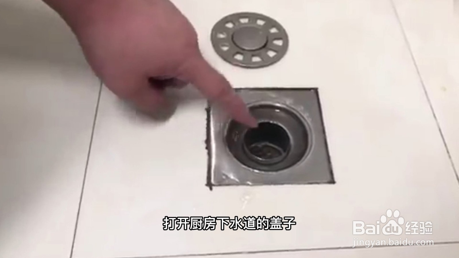 厨房里的小飞虫怎么消灭