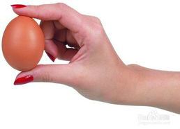 如何挑选新鲜鸡蛋。