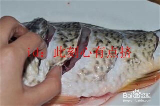 美食篇之糖醋鱼