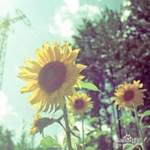 怎么样变成一个特别“会说话的人”