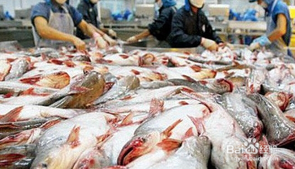 巴沙鱼怎么去腥味