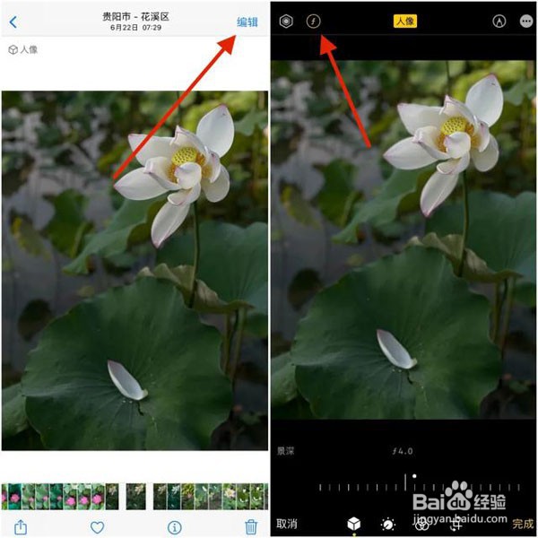 苹果手机拍照时如何调节虚化强度