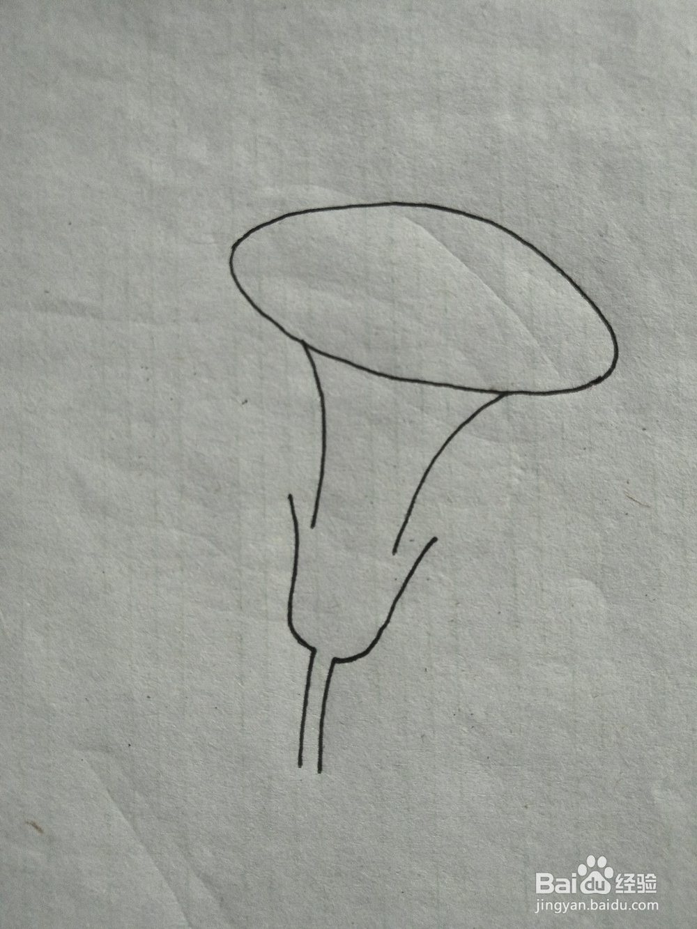 喇叭花简笔画教学