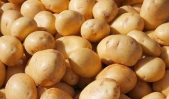 怎样炒出一份好吃的土豆丝