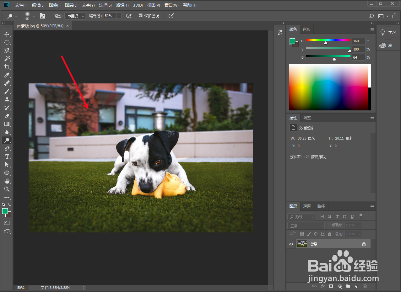 ps怎么给局部涂色