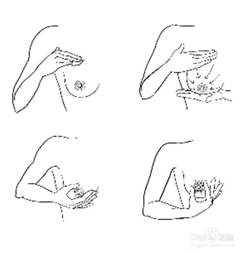 准妈妈怎样进行成功的母乳喂养