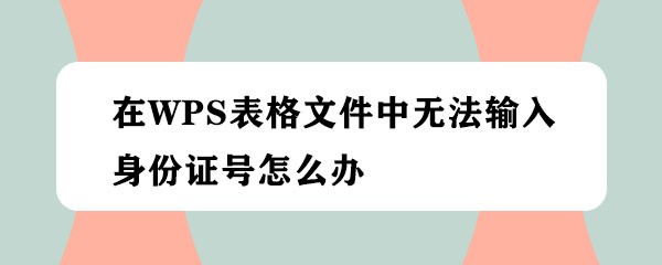 <b>在WPS表格文件中无法输入身份证号怎么办</b>