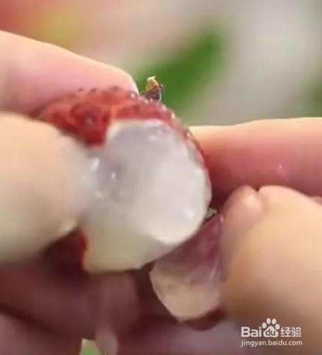 自己在家怎么种荔枝