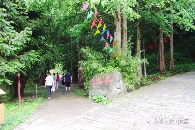 这才是云雾山游玩的正确方式