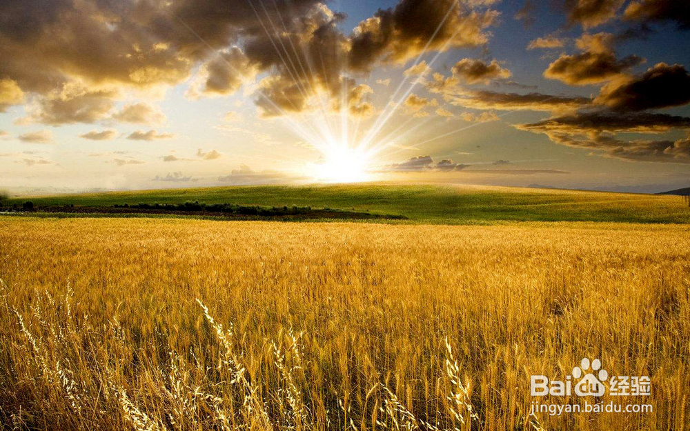 ps怎么去除水印