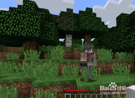 我的世界皮肤怎么换 我的世界皮肤修改?